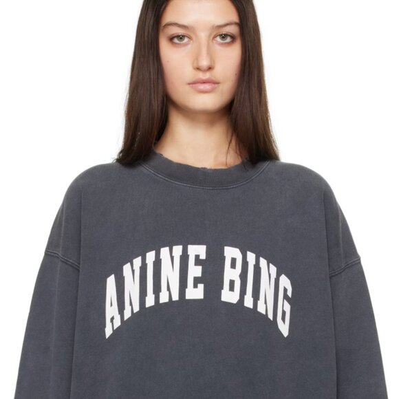 Anine Bing Grey Tyler Oversized Distressed Sweatshirt Medium - Picture 2 of 7